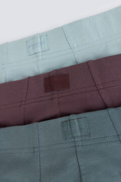 Springfield Pack 3 comfort briefs
