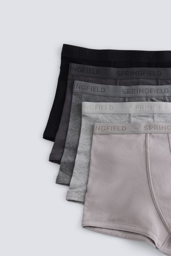 Springfield Pack 5 long boxers grey