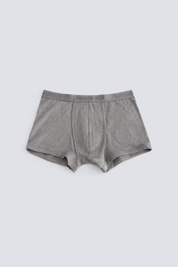 Springfield Pack 2 basic boxers grey