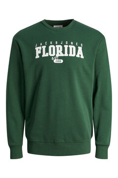 Springfield Sweatshirt padrão verde