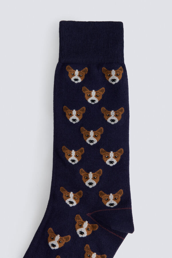 Springfield Cotton Jack Russell Terrier sock blue
