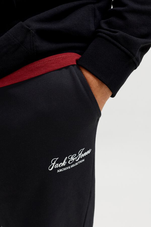 Jack & Jones PLUS Regular jogger trousers noir