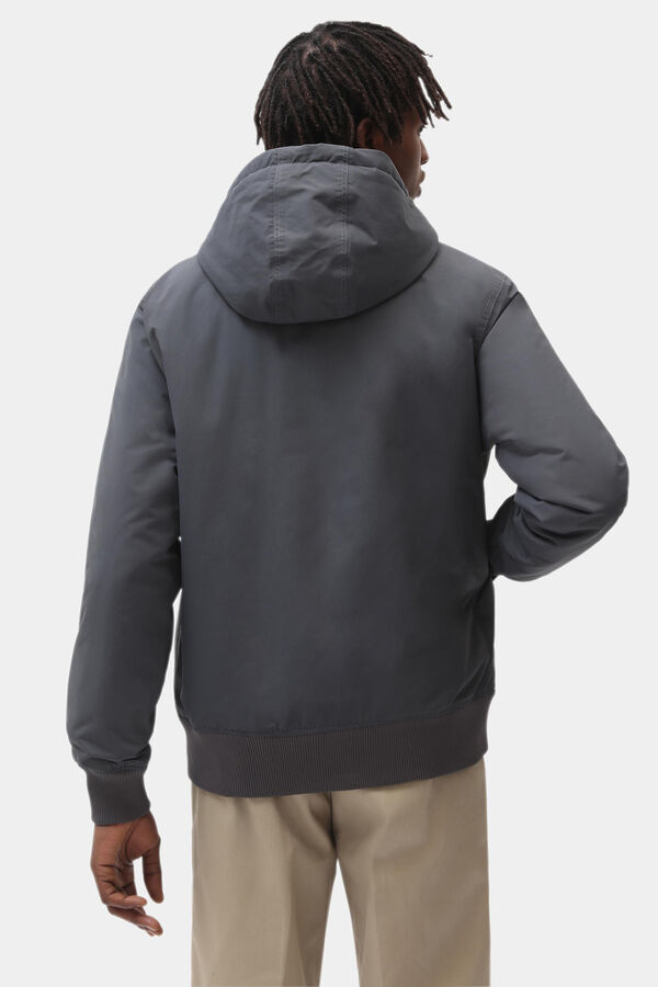 Dickies The New Sarpy Jacket  grey