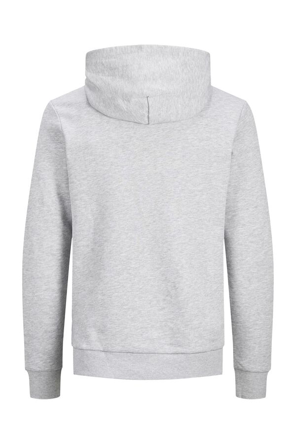 Springfield Logo hoodie grey