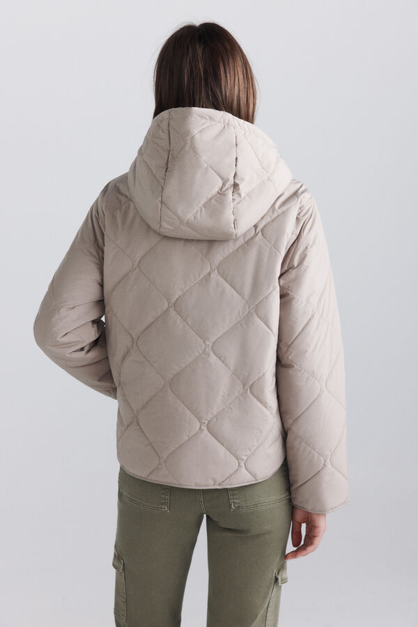 Springfield Puffer short jacket with hood nude