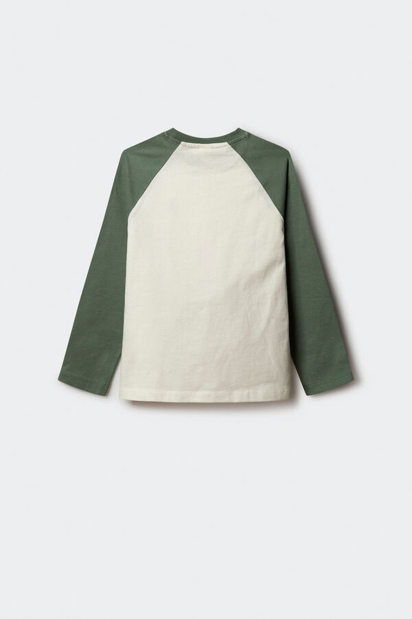 Springfield Kids Camiseta manga larga bicolor ni&ntilde;o verde