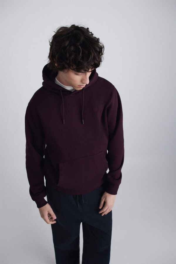 Springfield Basic hooded sweatshirt pink