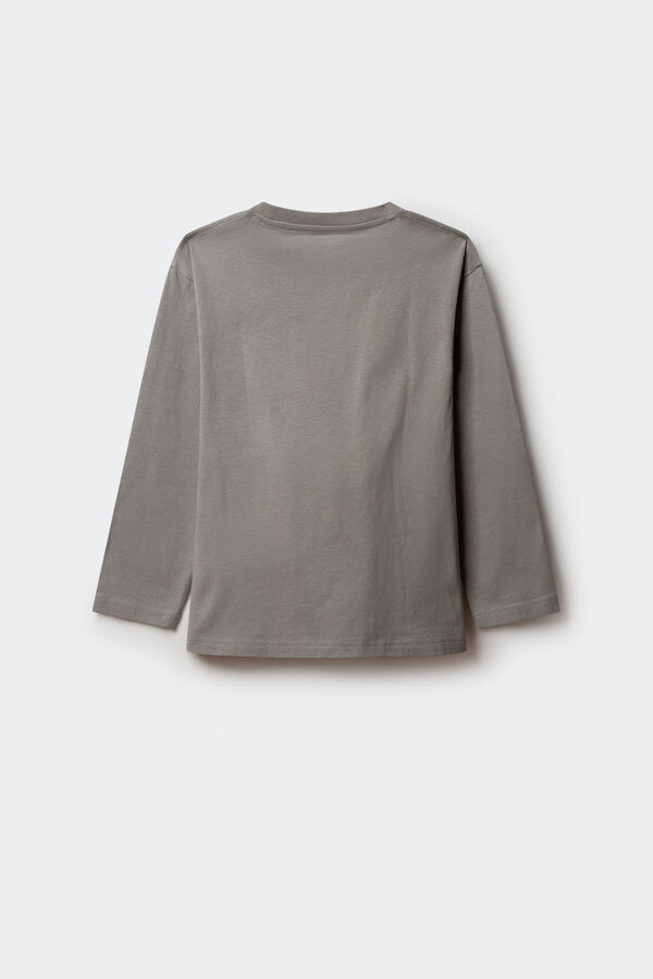 Springfield Kids Camiseta de manga comprida Lilo & Stitch para meninos cinzento