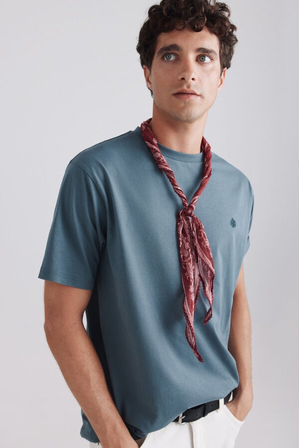 Springfield Springfield logo basic T-shirt blue
