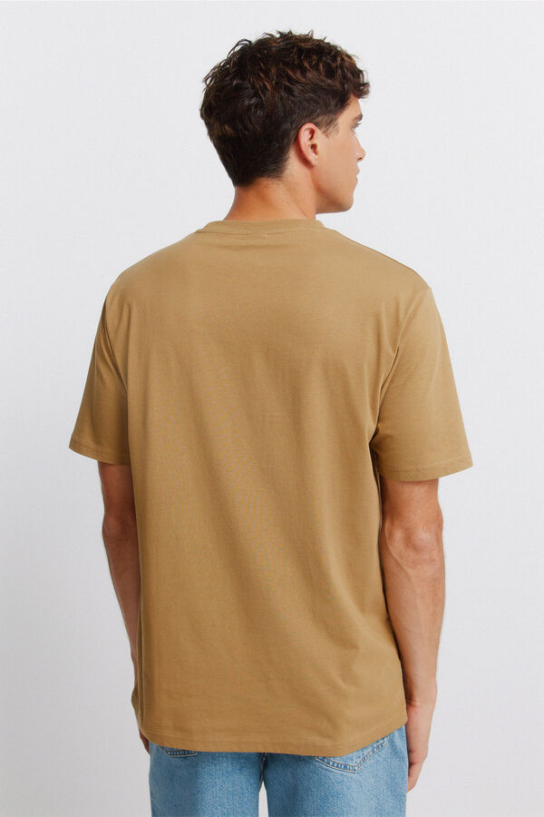 Springfield Springfield logo basic T-shirt brown