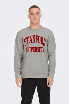 Springfield "Standford" sweatshirt grey