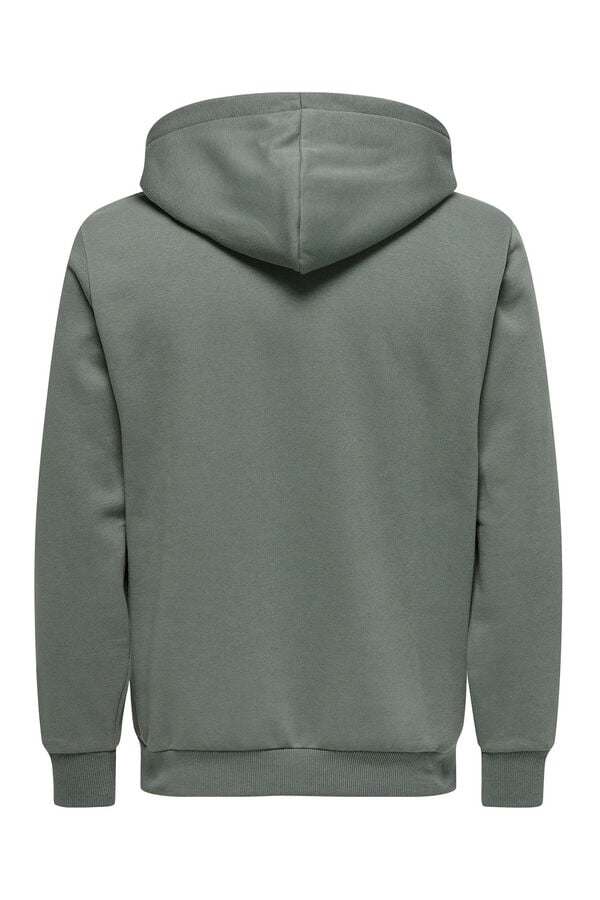 Springfield Zip-up hoodie gray