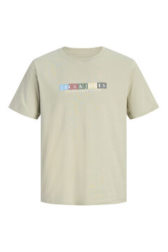 Jack & Jones PLUS Camiseta manga corta de algod&oacute;n