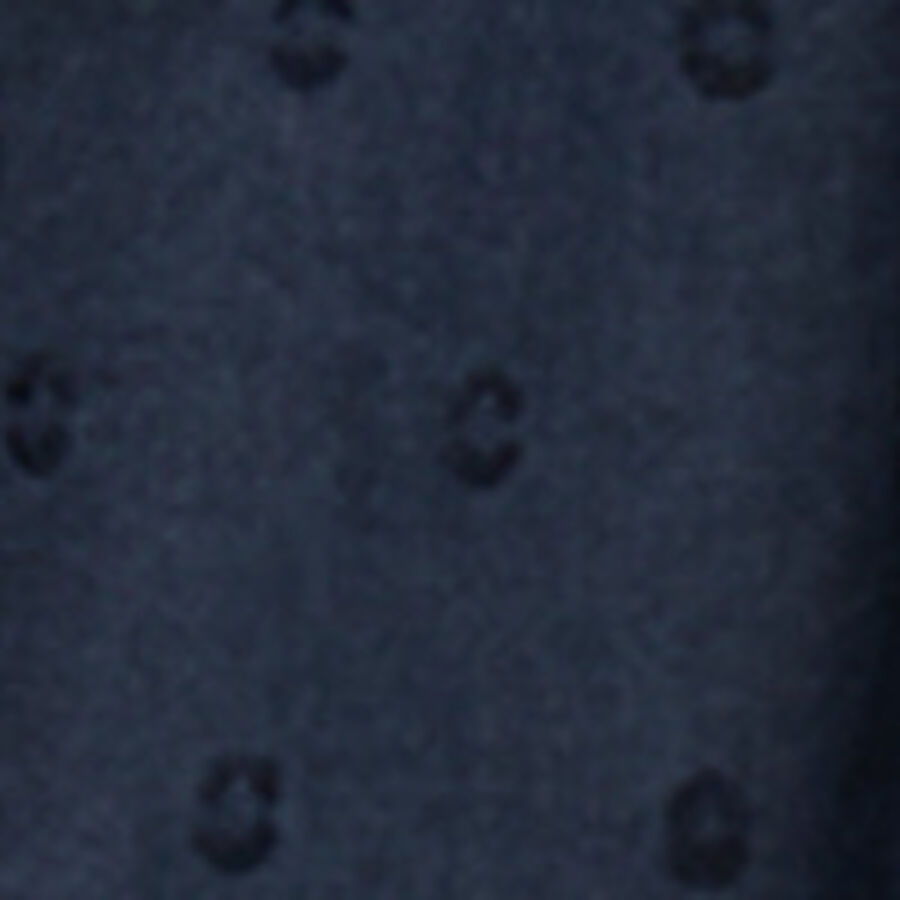 Color swatch