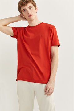 Springfield T-SHIRT B&Aacute;SICA &Aacute;RVORE cochonilha