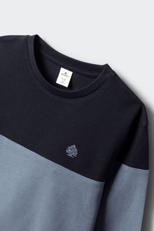 Springfield Kids Camiseta manga larga b&aacute;sica ni&ntilde;o azul