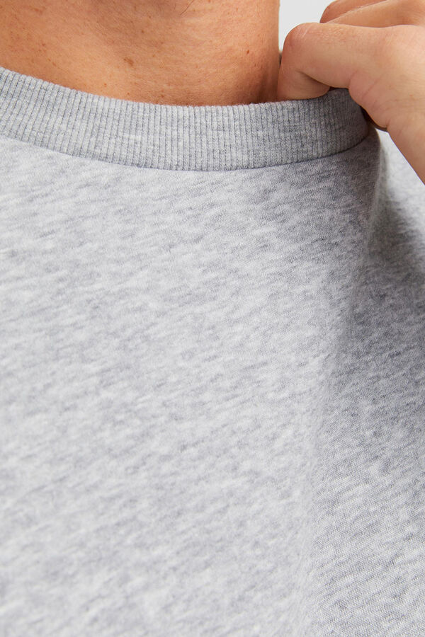Springfield Sweatshirt padrão cinza