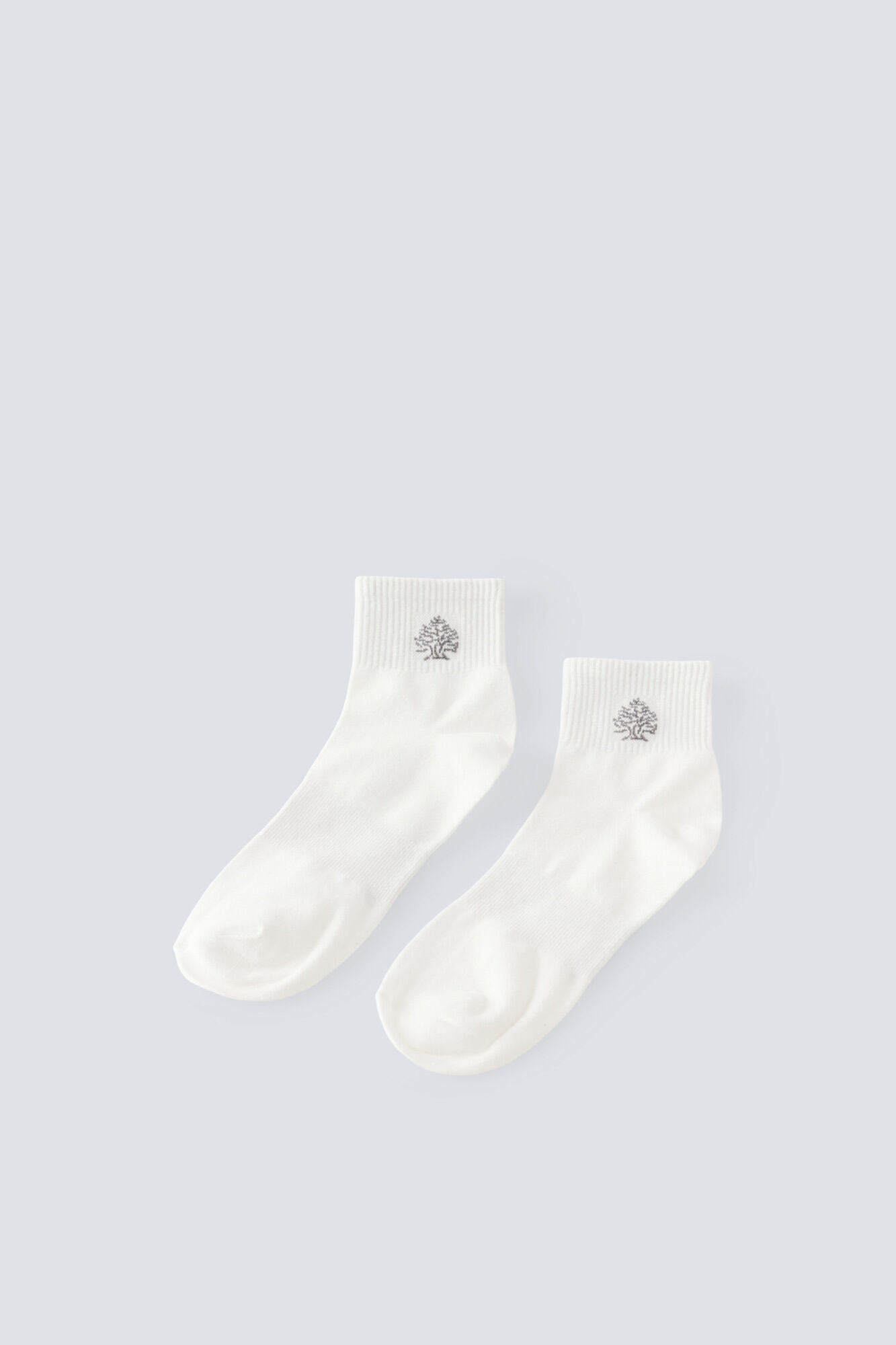 Springfield Ribbed ankle sport sock