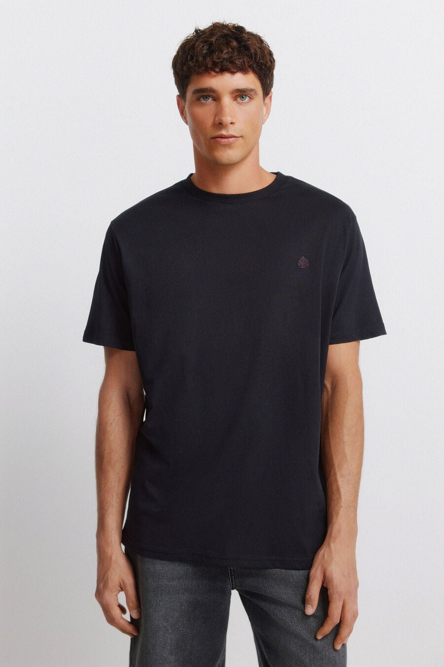 Camiseta básica logo Springfield