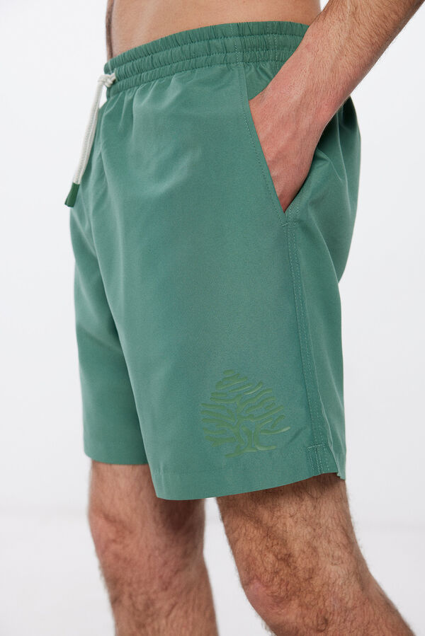 Springfield Plain swim shorts with logo green