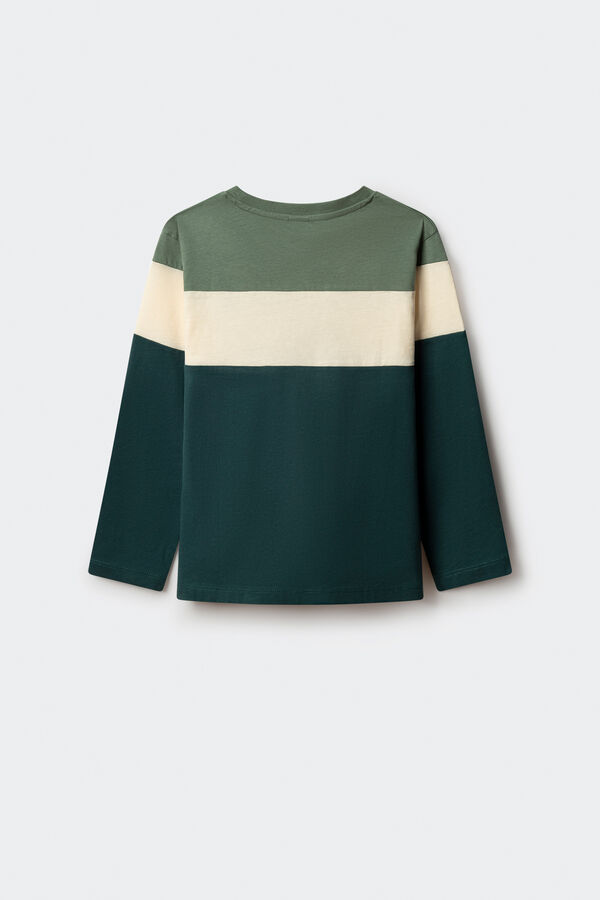 Springfield Kids Camiseta tricolor de manga comprida para menino verde