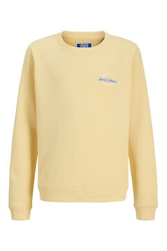 Jack & Jones Junior Sweatshirt com logo 