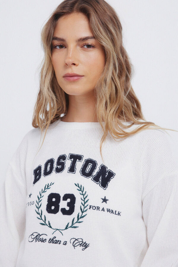 Springfield Pull chenille "Boston" vison