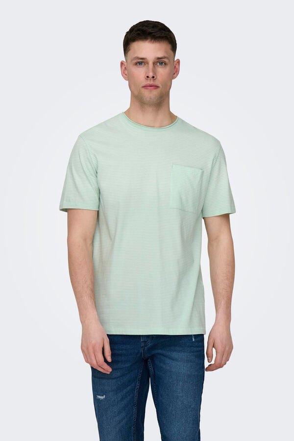 Springfield T-shirt with pocket and short sleeves gray