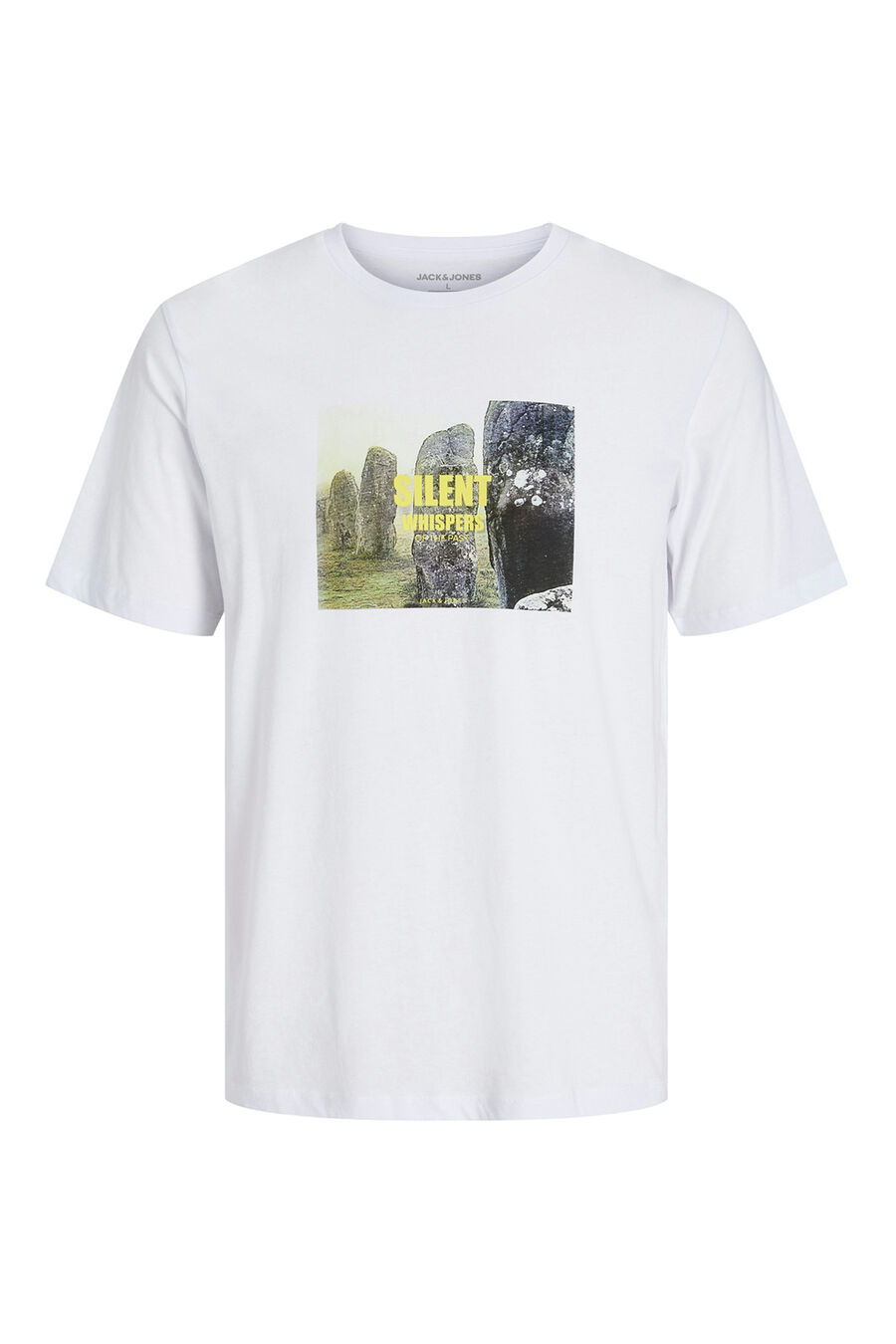 Camiseta regular fit estampada