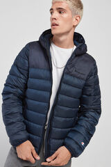 Springfield Chaqueta Hombre - Champion Legacy Collection navy