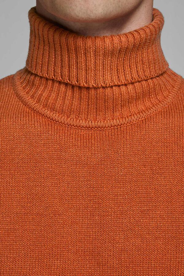 Springfield Sustainable high neck jumper red