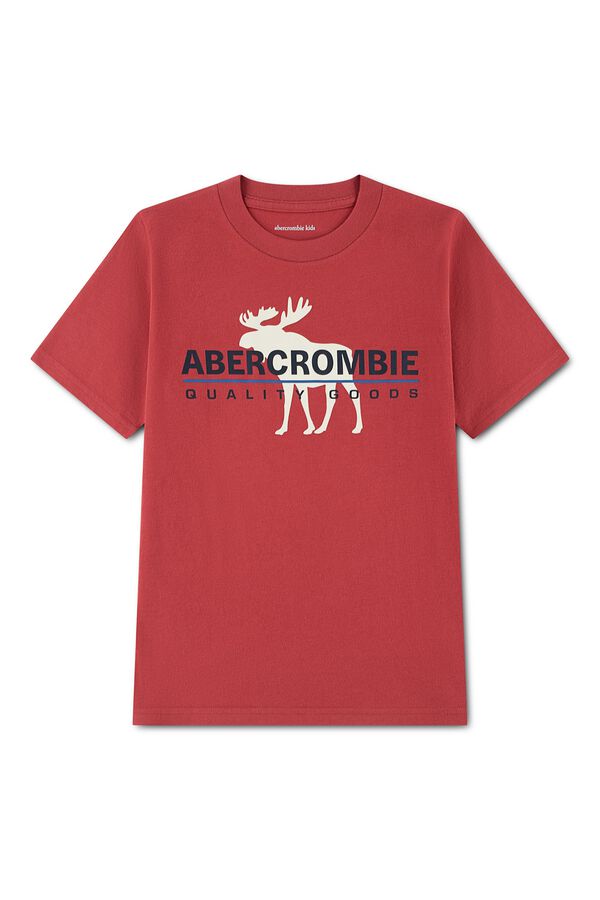 Abercrombie Kids Logo short sleeve T-shirt printed