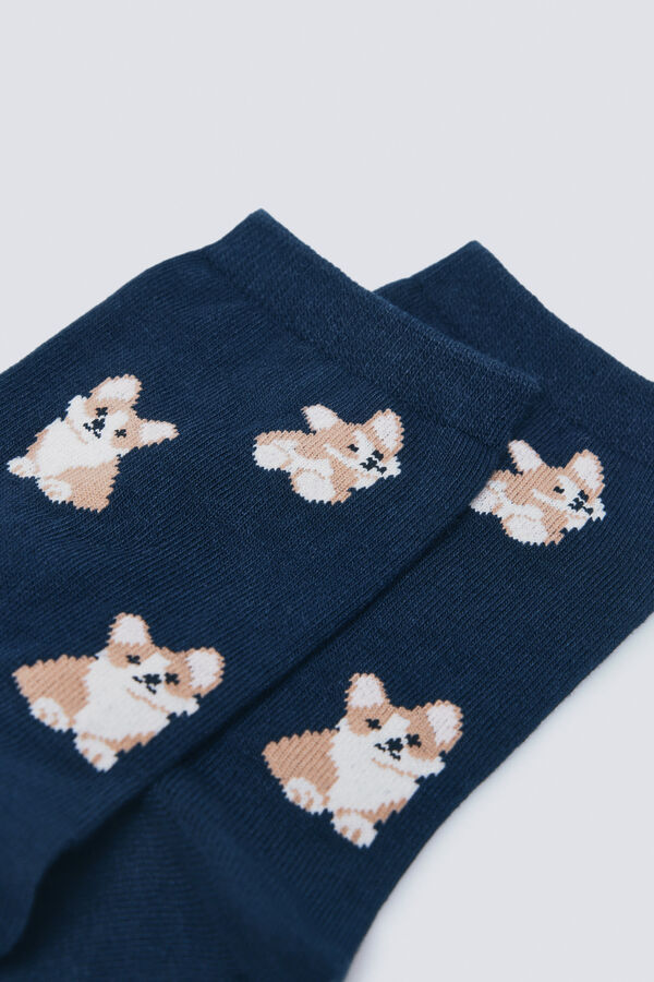 Springfield Long hare sock blue