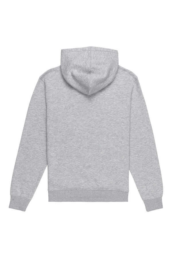 Element Sweatshirt with hood grey