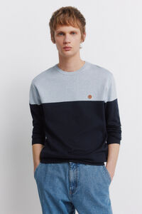 Springfield Colour block basic jumper