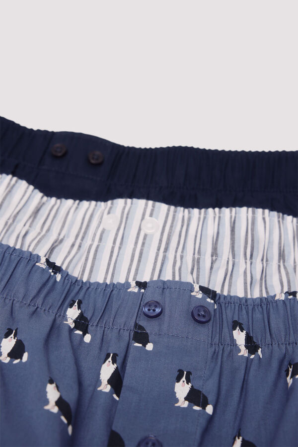 Springfield Pack of 3 printed poplin boxers blue