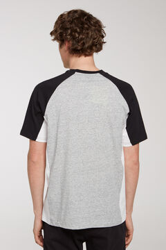 Springfield tricolour T-shirt with logo gray
