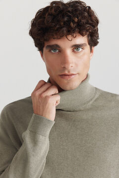 Springfield Basic-Pullover mit Rollkragen