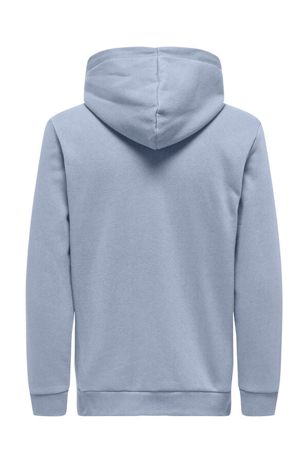 Springfield Fleece hood sweatshirt bluish