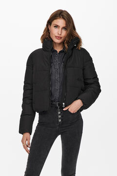 Springfield Short puffer jacket noir