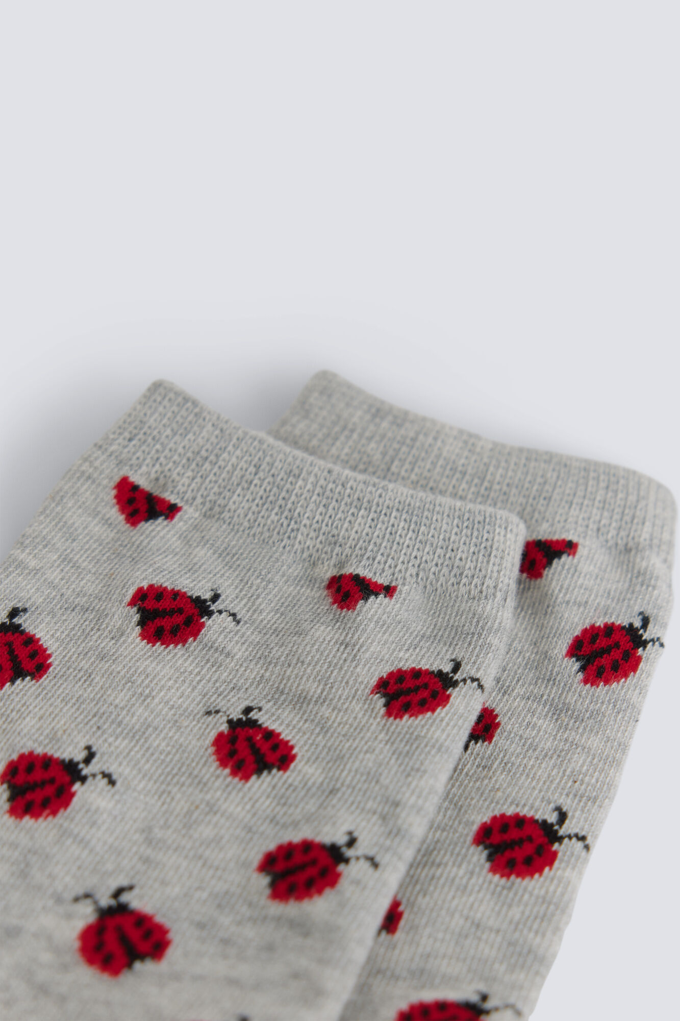 Springfield Meias compridas joaninhas