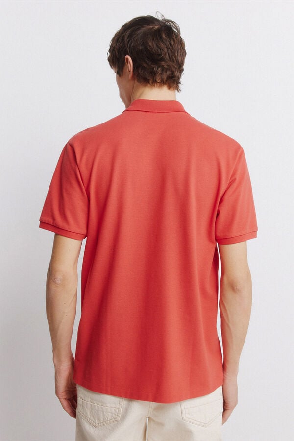 Springfield Basic regular fit polo shirt SPRINGFIELD brown