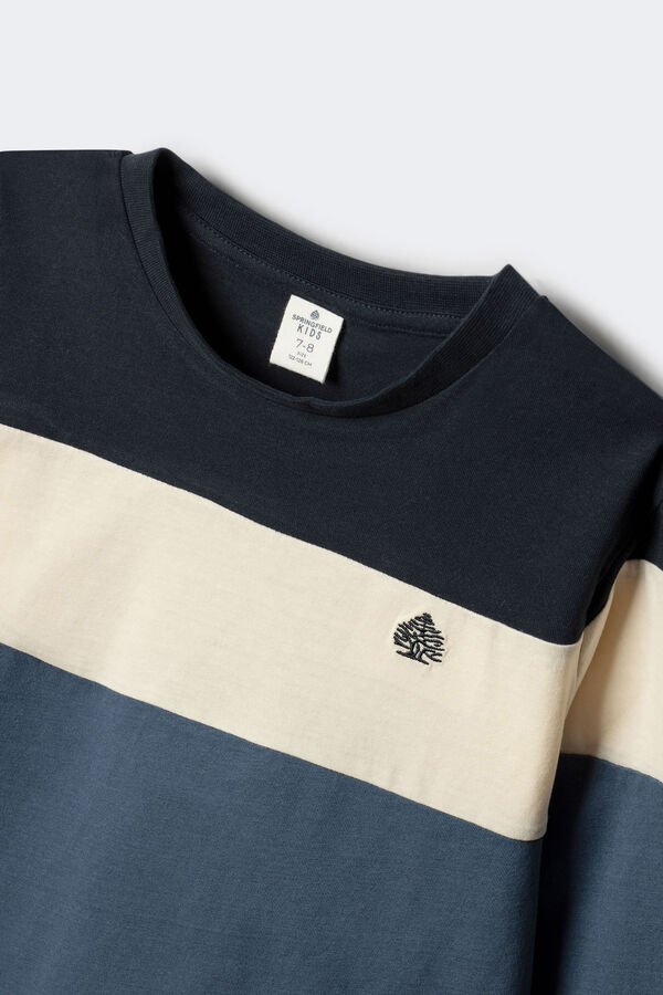 Springfield Kids Tricolor long sleeve T-shirt for boys Plava