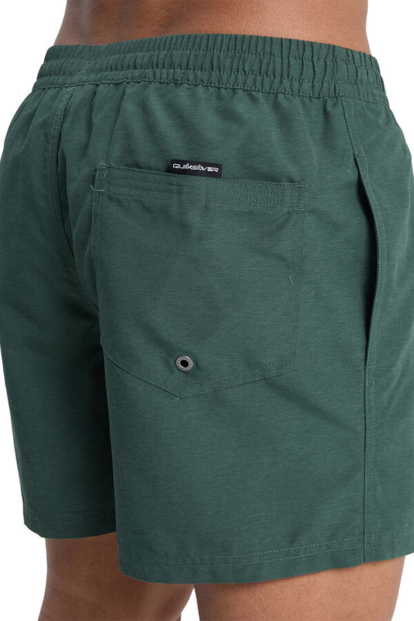 Quiksilver Logo swimwear green