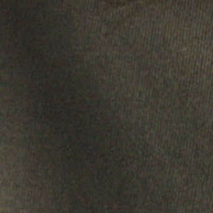 Color swatch