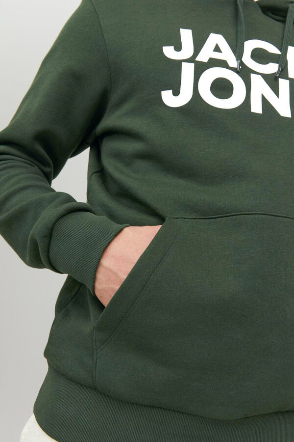 Springfield Sweatshirt de ajuste padrão verde
