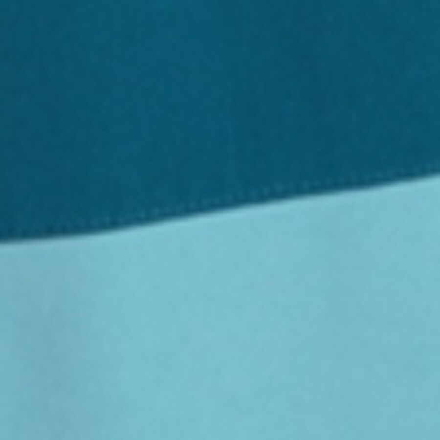 Color swatch