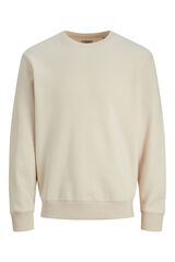 Springfield Relaxed fit sweatshirt grey