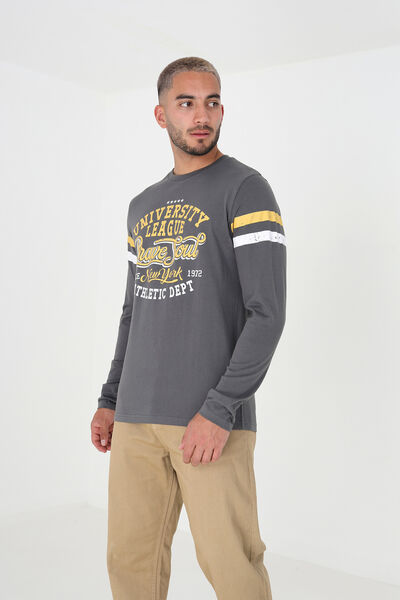 Springfield Long-sleeved T-shirt with print grey