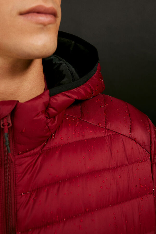 Springfield Quilted hooded jacket royal red